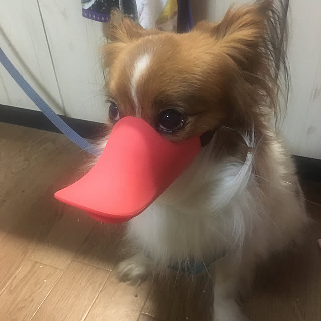 miiさんの実例写真