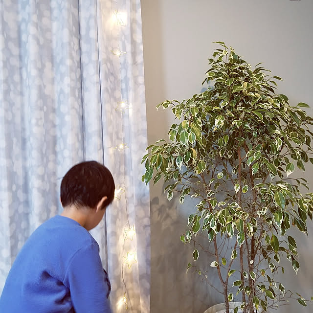 kubona1019さんの実例写真