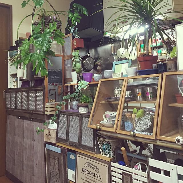 Norikoさんの実例写真