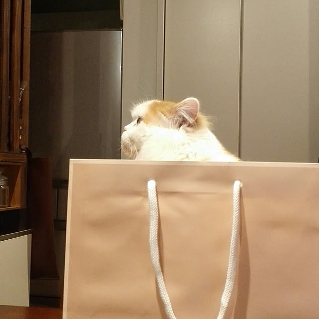 1ldksさんの実例写真
