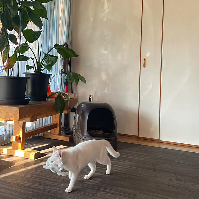 328さんの部屋