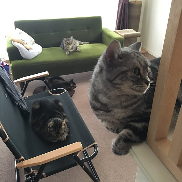 mikomaruさんの実例写真