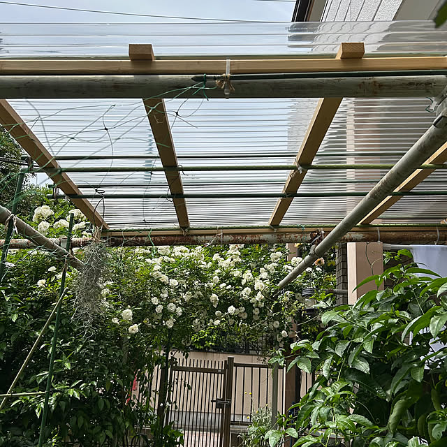 botanさんの部屋