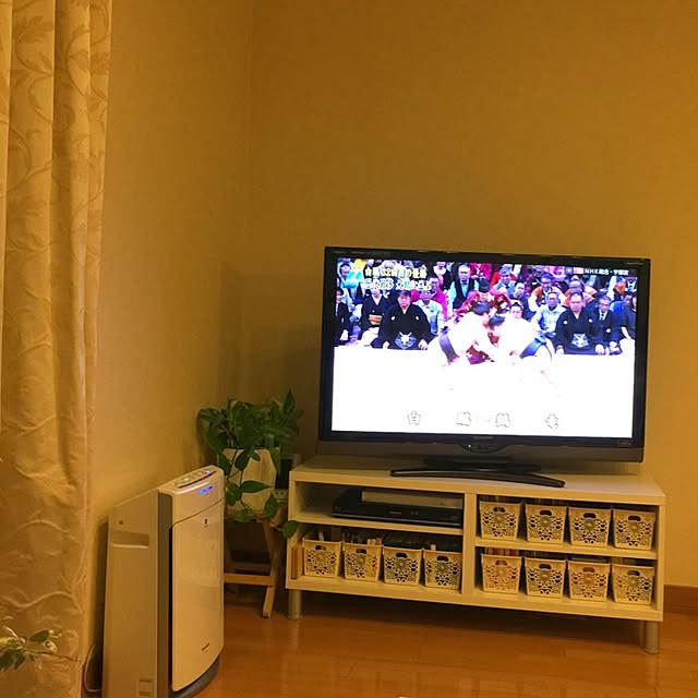 mintさんの実例写真