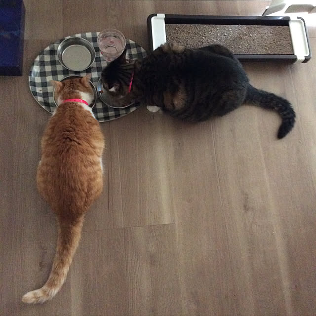 houenさんの実例写真