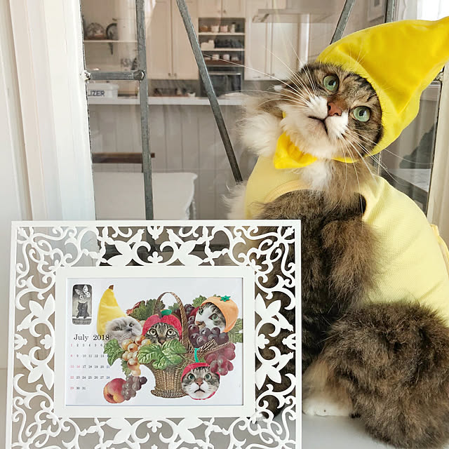 yuchiさんの実例写真