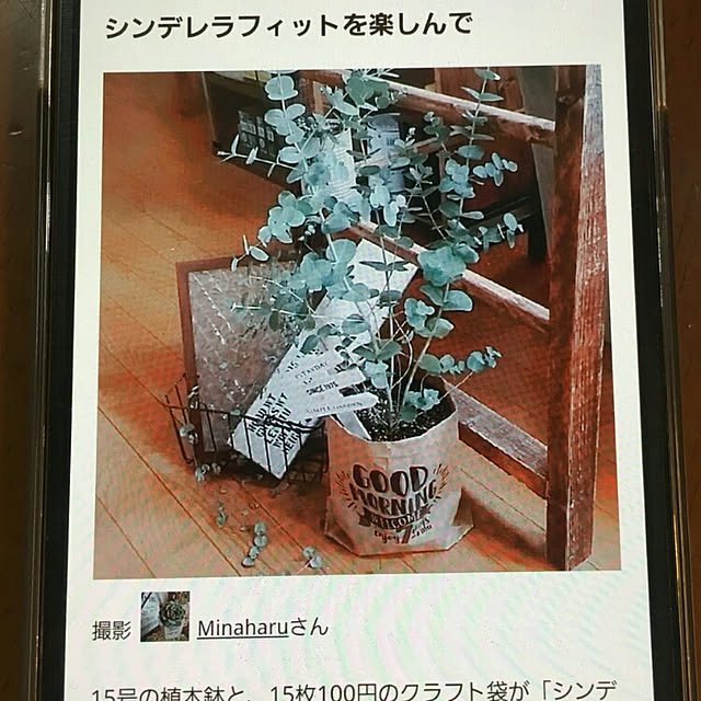 Minaharuさんの実例写真