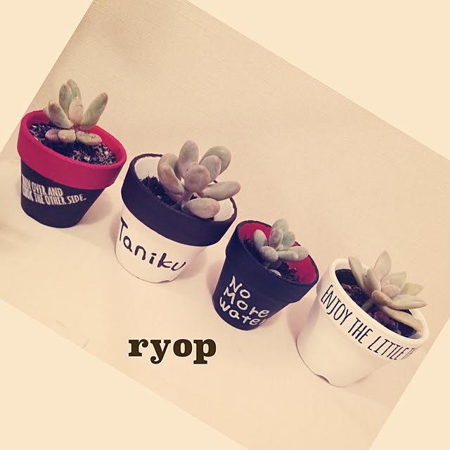 ryop68さんの実例写真