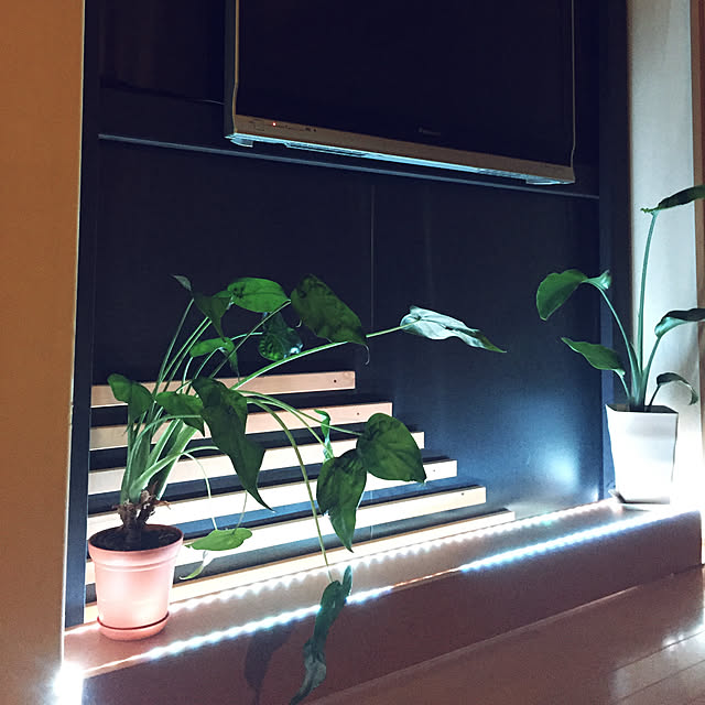 kaiwaさんの実例写真
