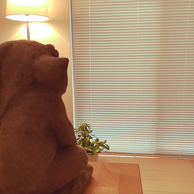 Doriさんの実例写真