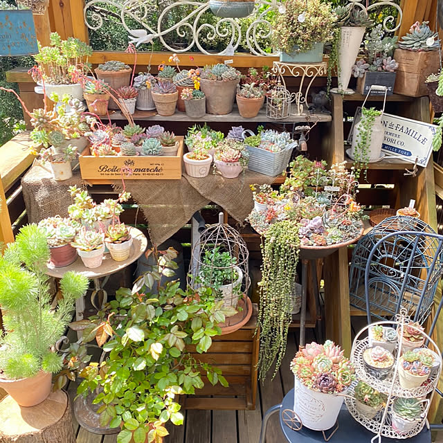 mintteaさんの実例写真