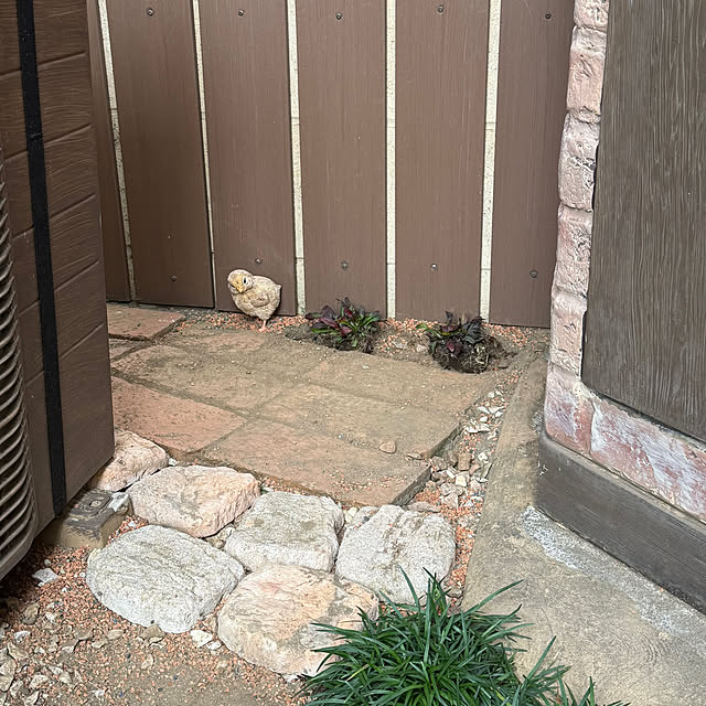 tabasaさんの部屋