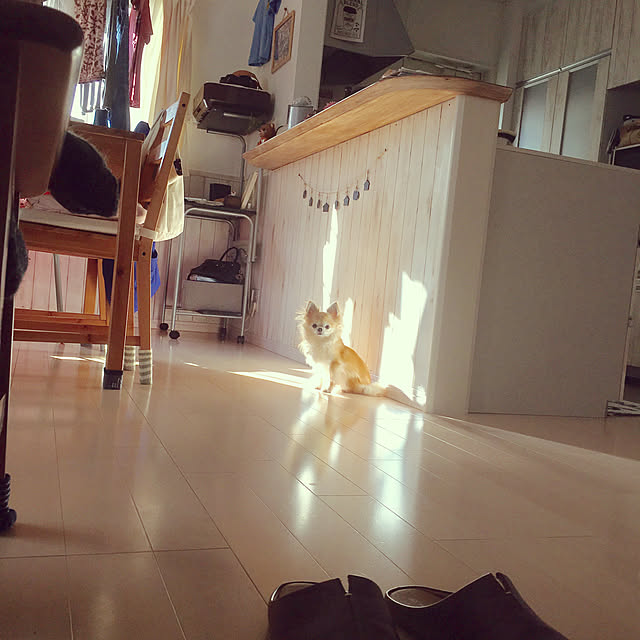 konomi513さんの実例写真
