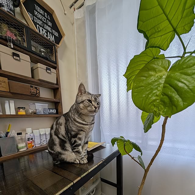 lovepeaceさんの部屋