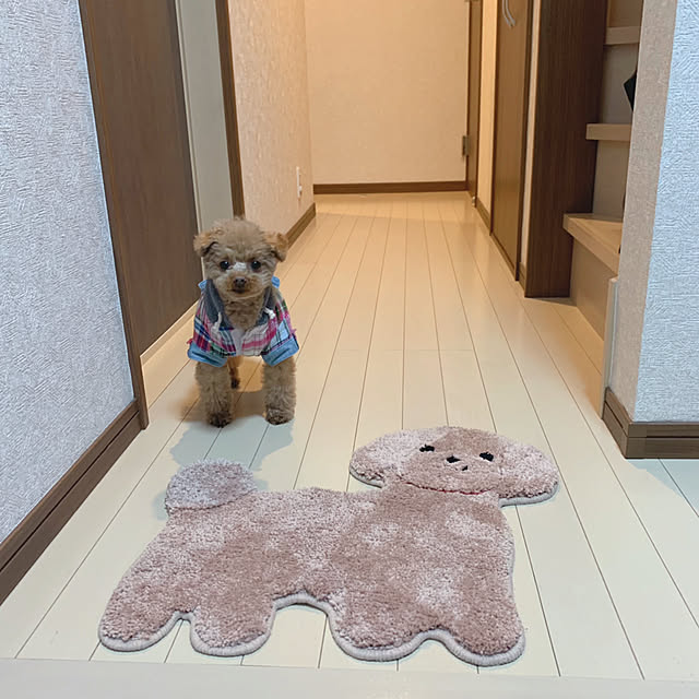 Samさんの実例写真
