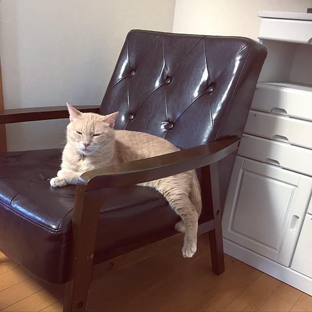 mikan161さんの実例写真