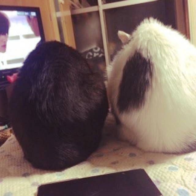 Tomomiさんの実例写真