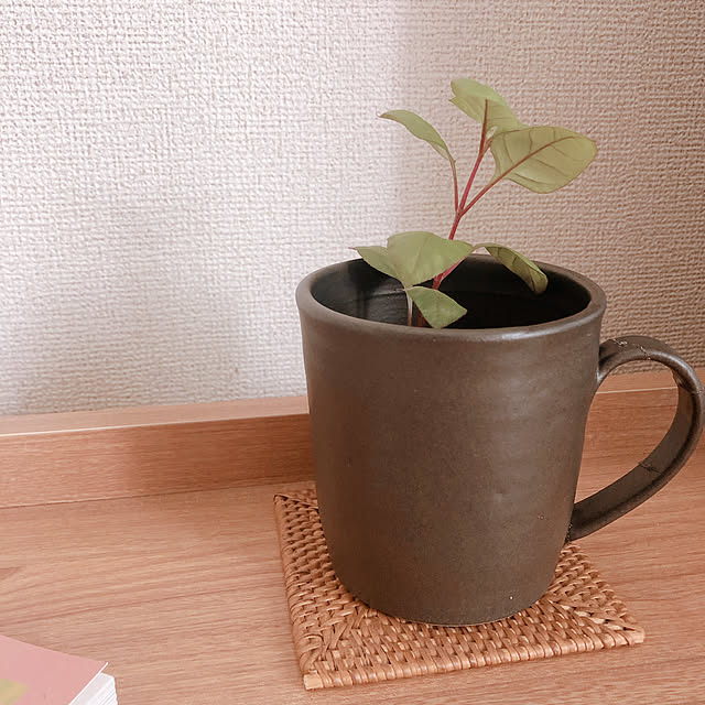 teechanさんの実例写真