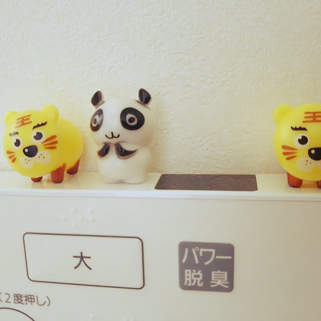 rapioさんの実例写真