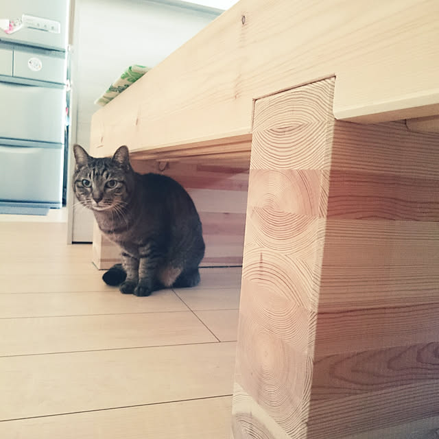 aisuさんの実例写真