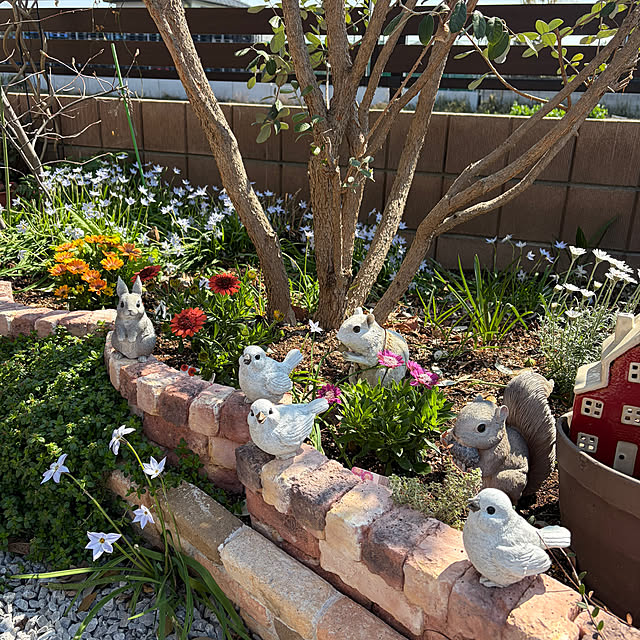 ronronさんの実例写真