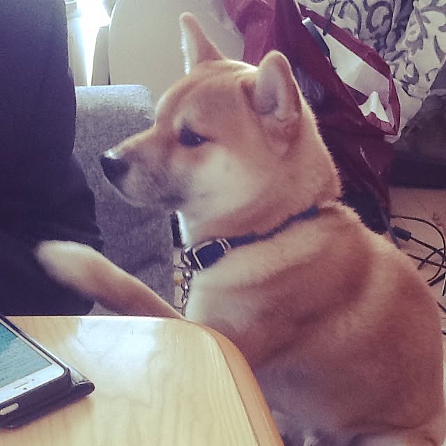 kotaさんの実例写真
