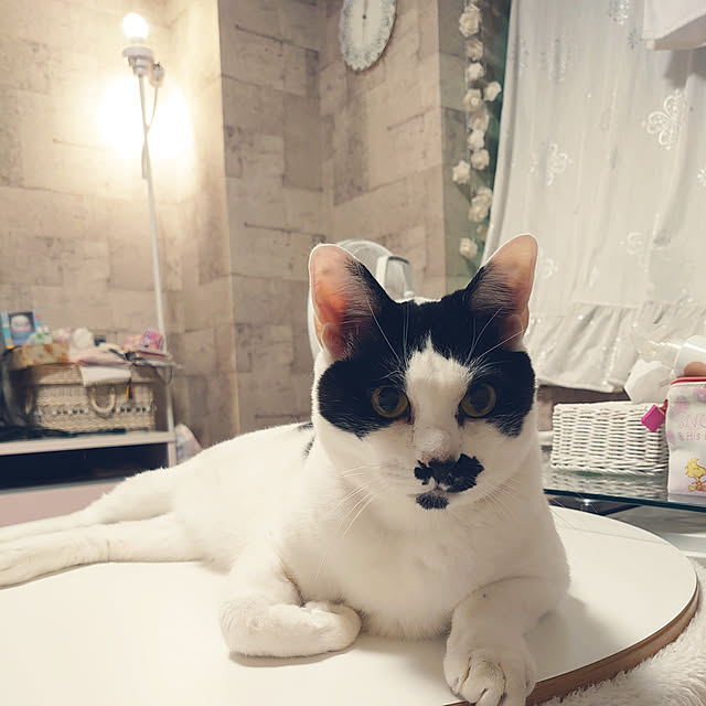 asuminさんの実例写真
