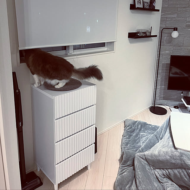 leoさんの実例写真