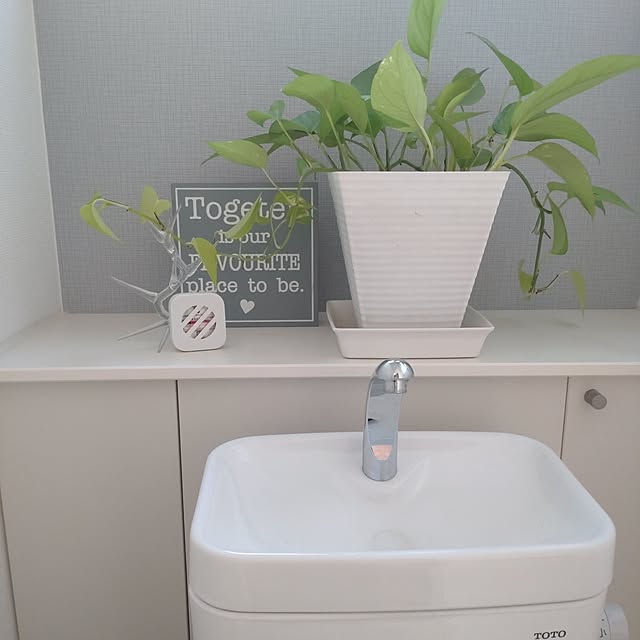 tan5さんの実例写真