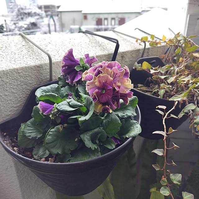 yuuu7712さんの部屋