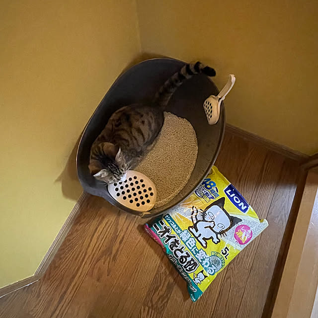 nobikoさんの部屋