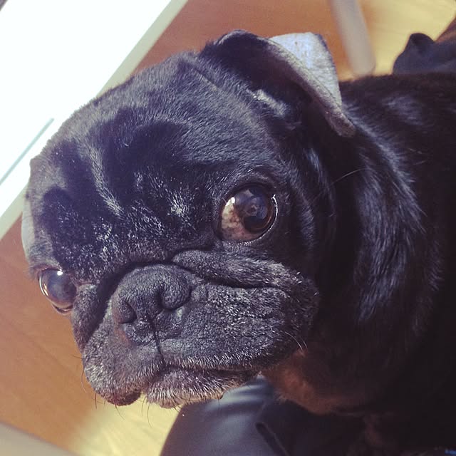Marbleさんの実例写真