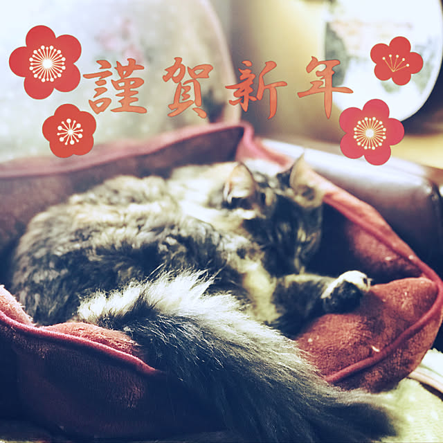 maroさんの実例写真