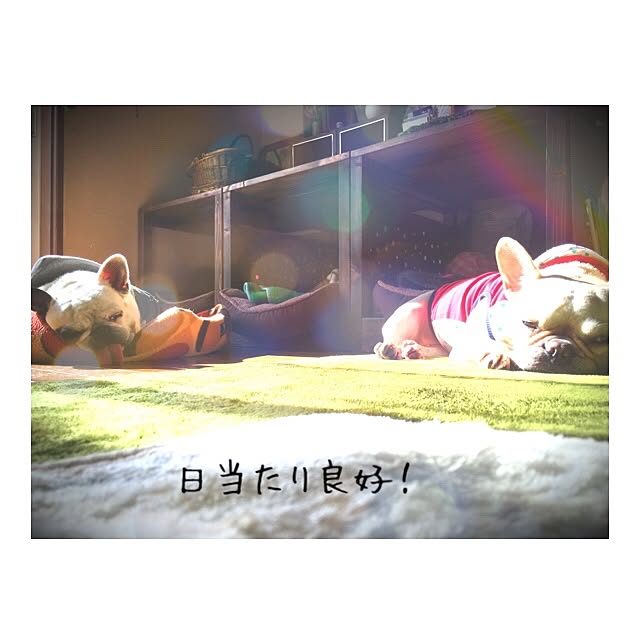 38coreさんの実例写真