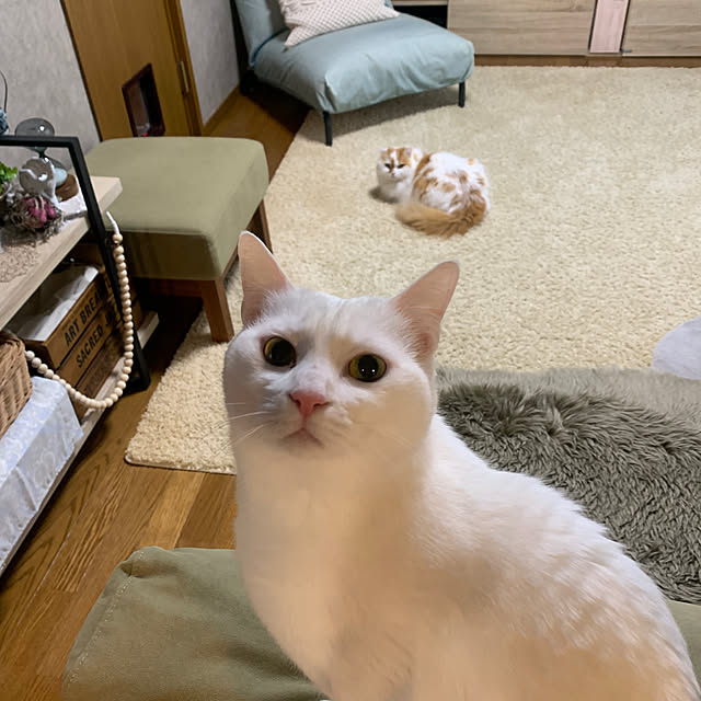 keiさんの実例写真