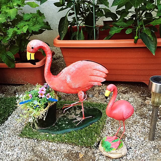 masashinobonさんの実例写真