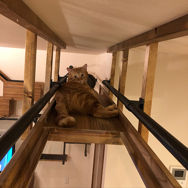 piyocchiさんの実例写真
