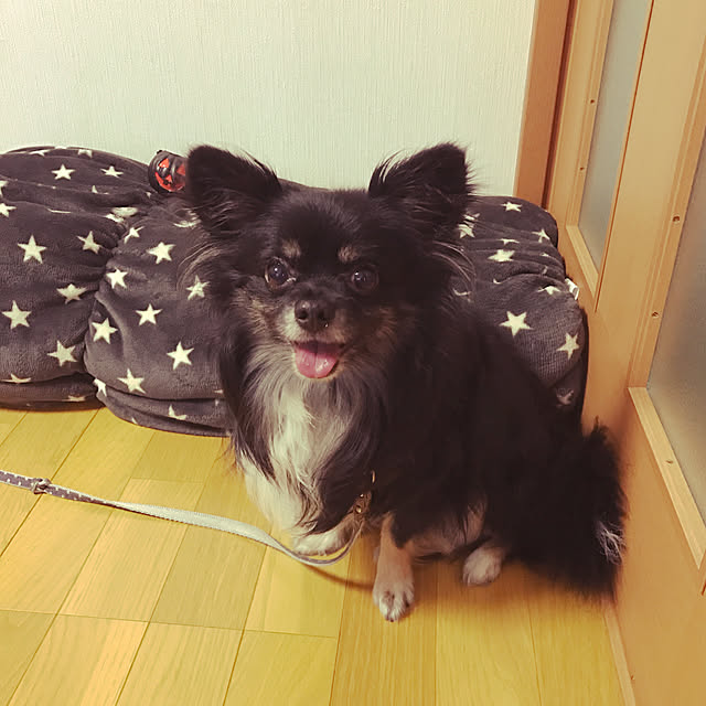 ruteiさんの実例写真