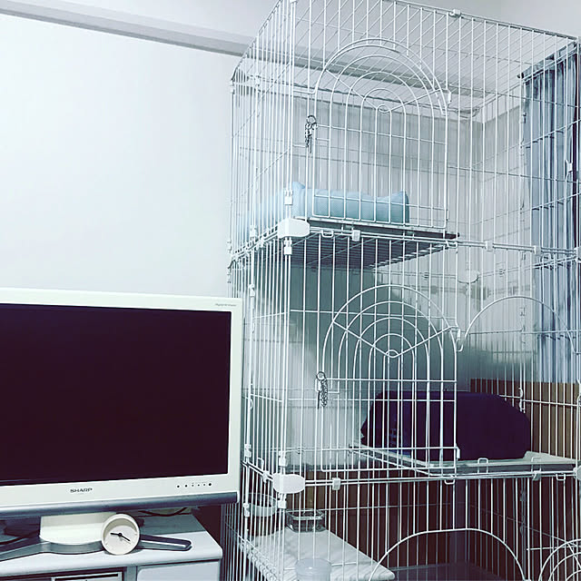 asuさんの実例写真