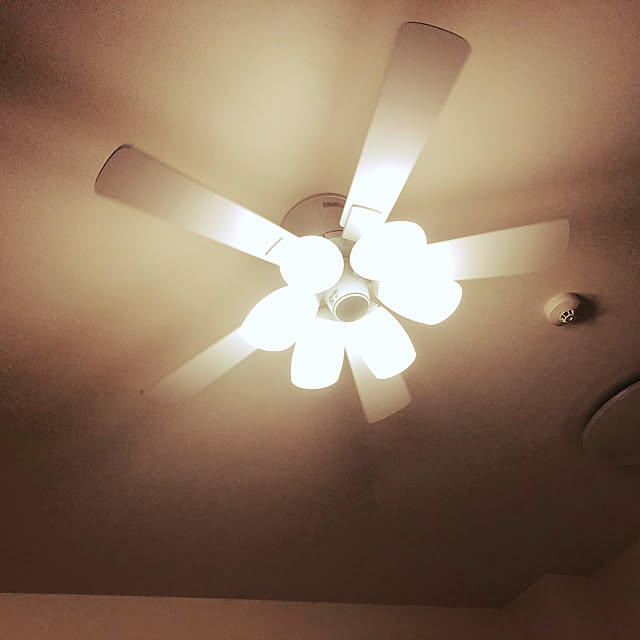 celsto.chobimoeさんの部屋