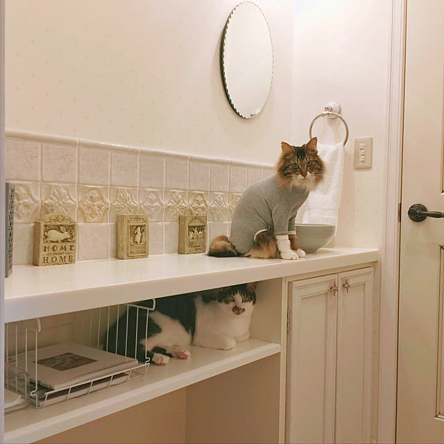 yuchiさんの実例写真