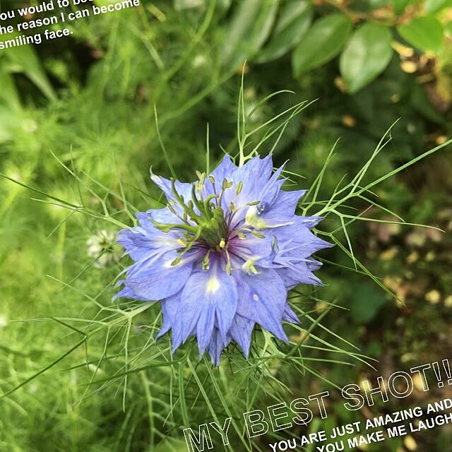 akekuroankoさんの実例写真