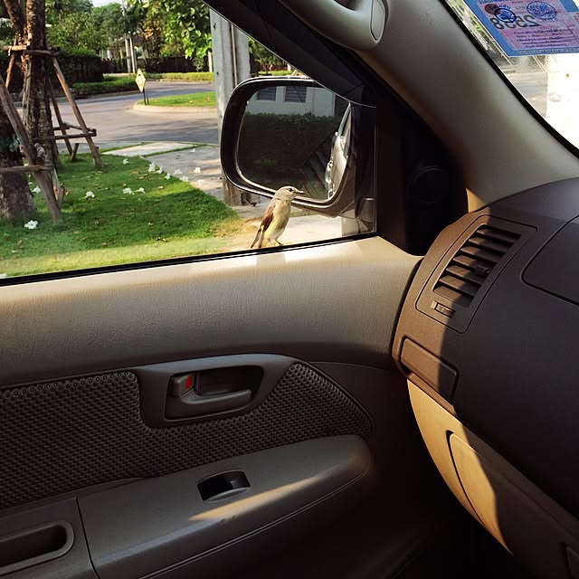 Thammaratさんの実例写真