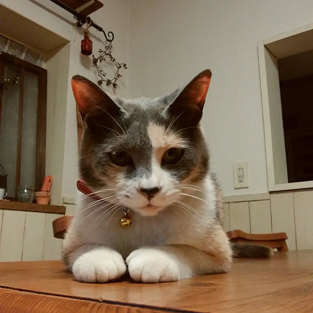 tomo1220さんの実例写真