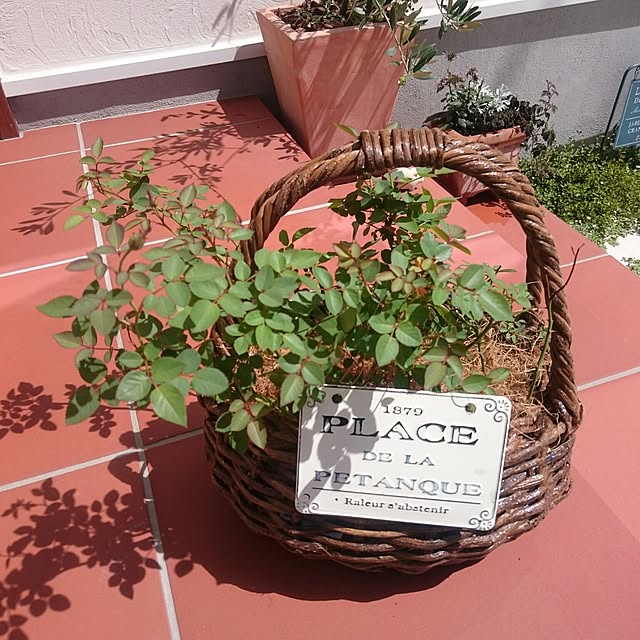 whitebirdさんの実例写真
