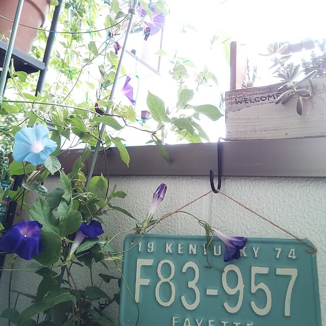 VERANDARJUNさんの実例写真