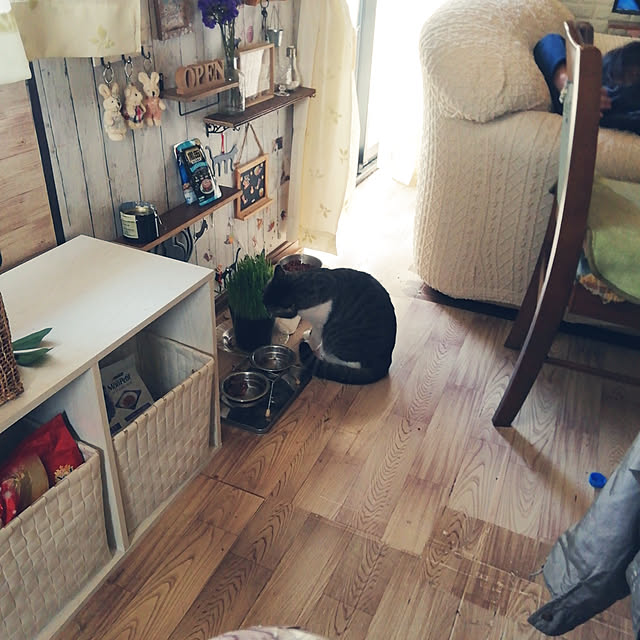 Tomopさんの実例写真