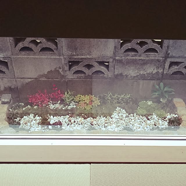 Takuyaさんの実例写真