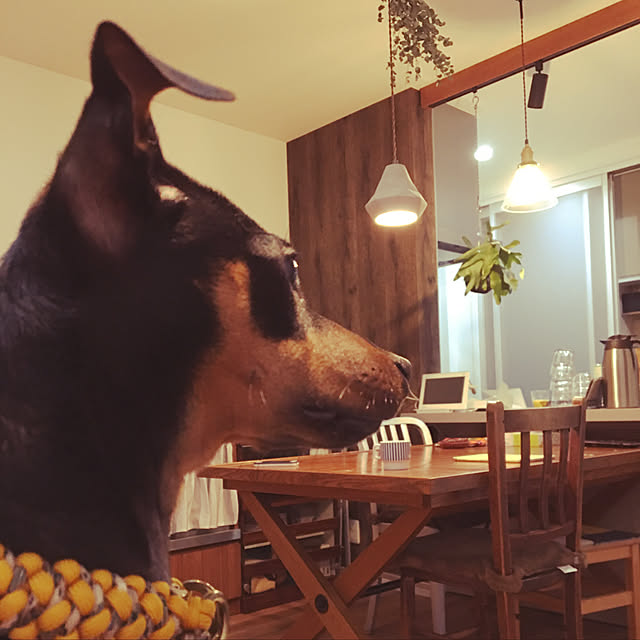 lemonさんの実例写真