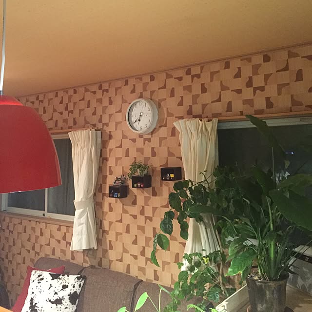 risaさんの実例写真